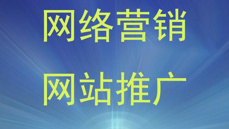 网络营销公司案例解析：揭秘转化背后的数据逻辑